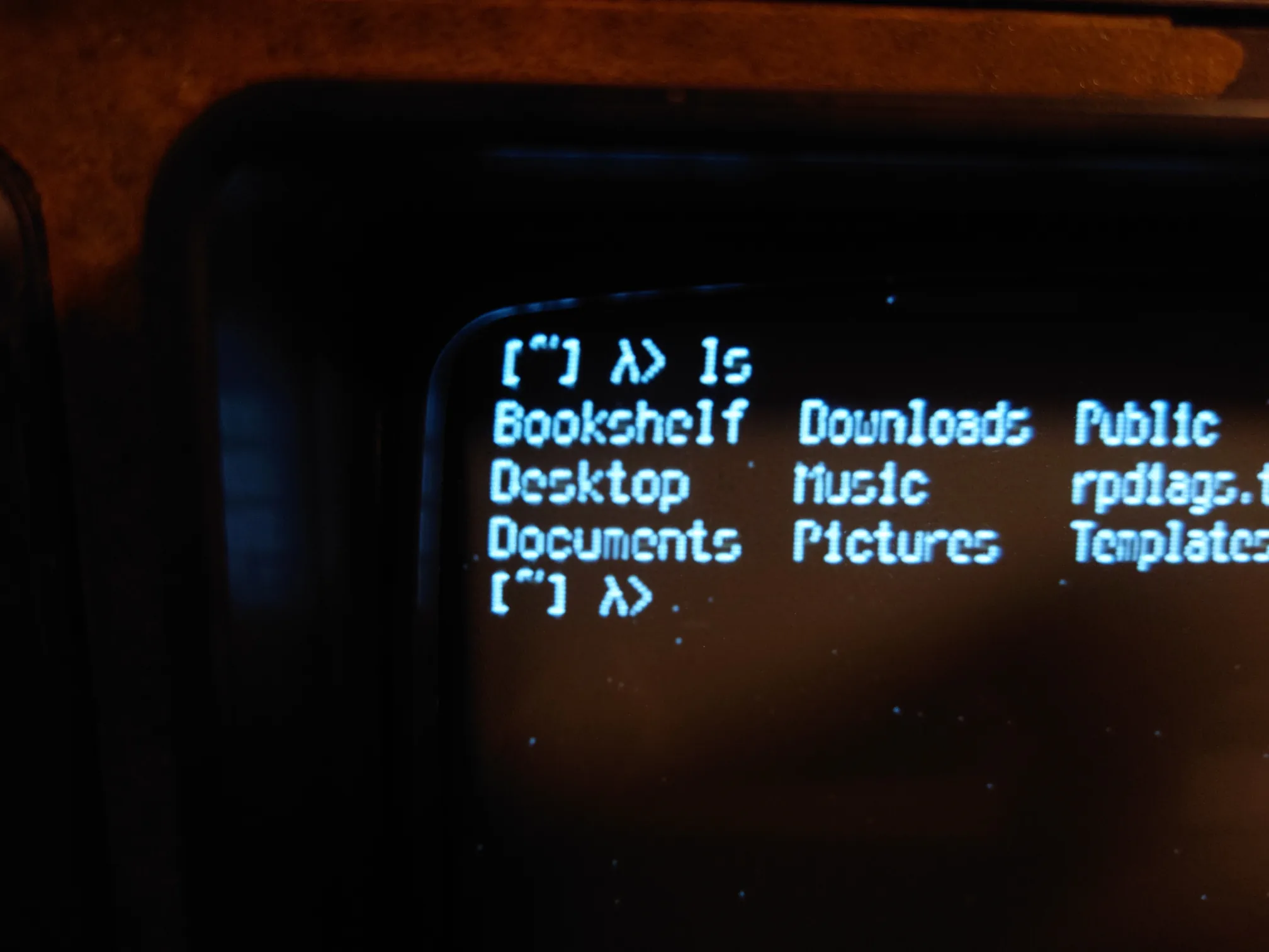 A linux terminal displaying some text